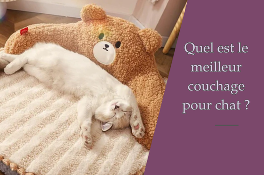 Quel est le meilleur couchage pour chat ?
