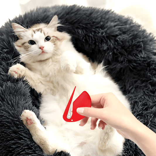 Accessoire pour chat | Hairescue™ - Ambiance chat