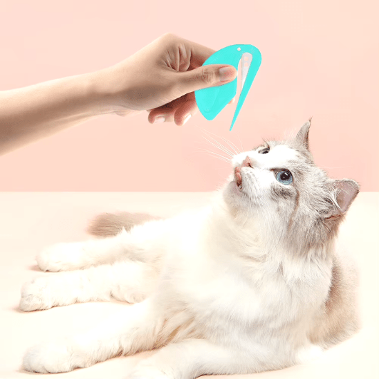 Accessoire pour chat | Hairescue™ - Ambiance chat