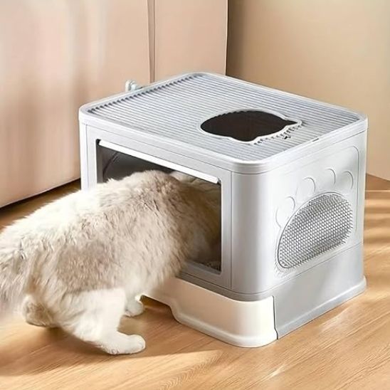 Bac Litière Chat | Netbox™ - Ambiance chat