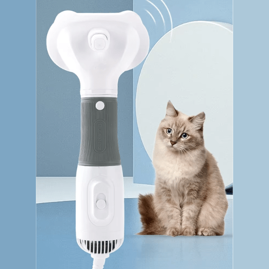 Brosse pour chat | Brusshy™ - Ambiance chat