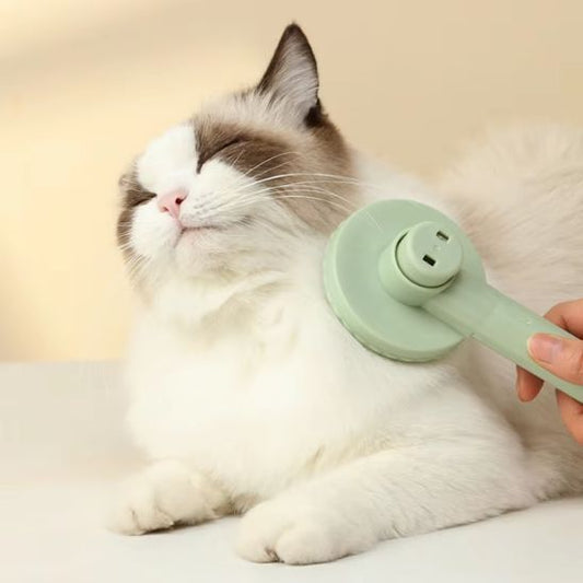 Brosse pour Chat | Nessy™ - Ambiance chat