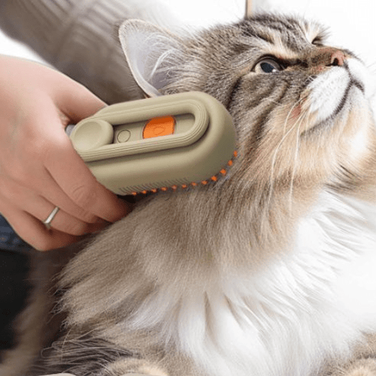 Brosse pour chat | Netvap™ - Ambiance chat