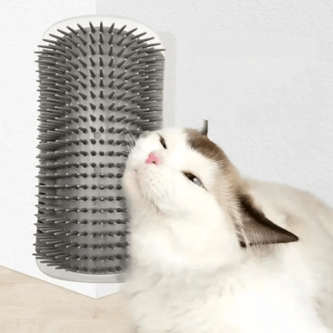 Brosse pour chat | Picksy™ - Ambiance chat