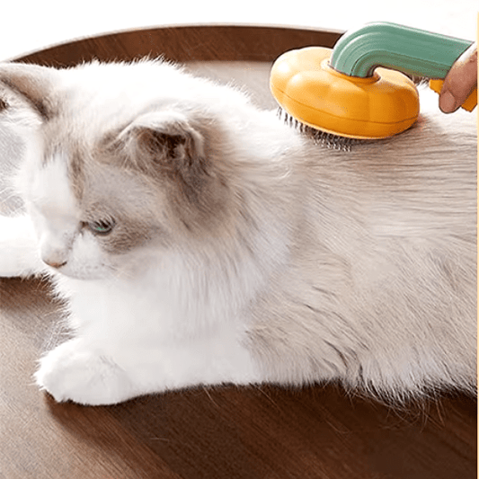 Brosse pour chat | Pumki™ - Ambiance chat