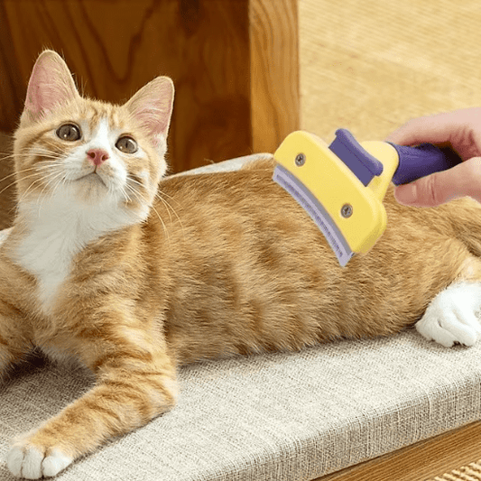 Brosse pour chat | Rakhi™ - Ambiance chat