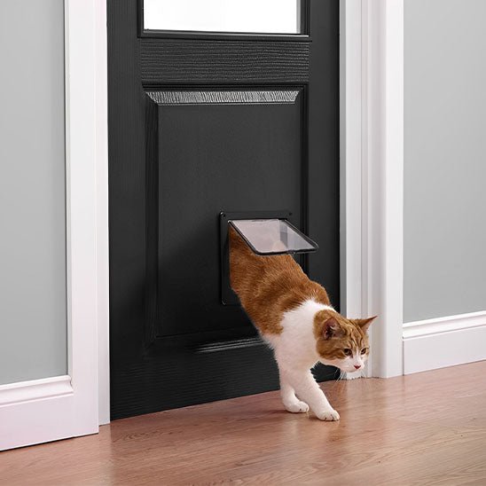 Chatiere | Quikly™ - Ambiance chat