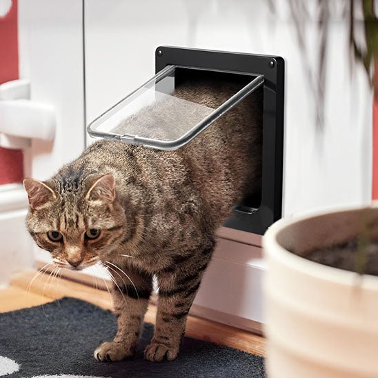 Chatiere | Quikly™ - Ambiance chat