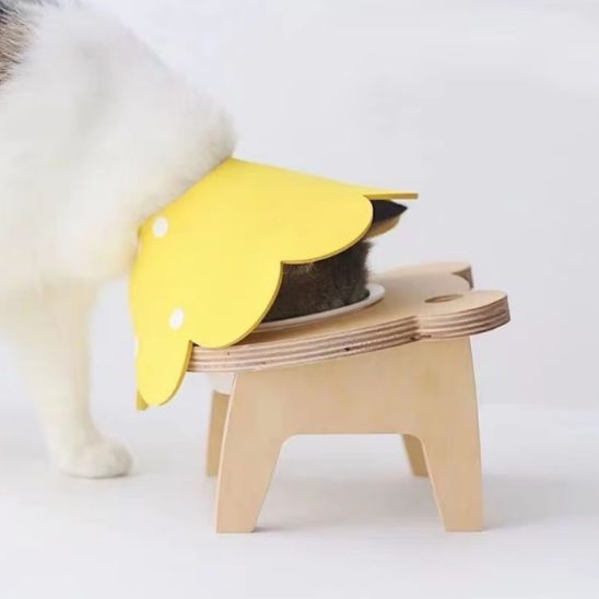 Collerette Chat | Scolly™ - Ambiance chat