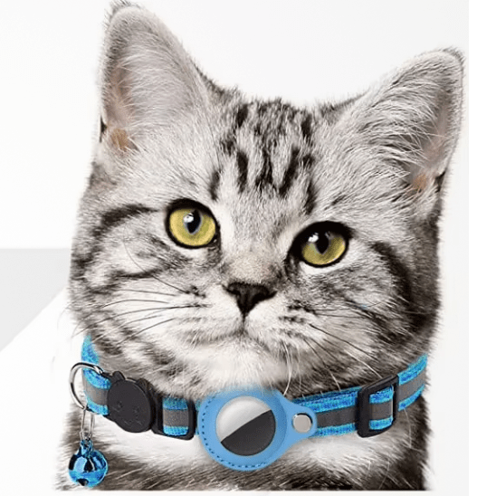 Collier gps Chat | Locaty™ - Ambiance chat