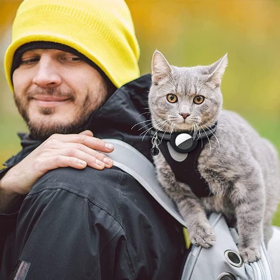 Collier gps Chat | Locaty™ - Ambiance chat