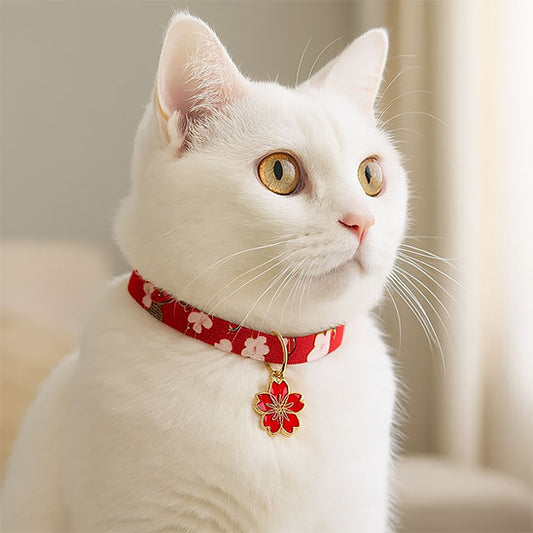 Collier pour chat | Sakyâą
