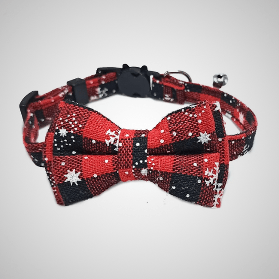 Collier Pour Chat | Loopy™ - Ambiance chat