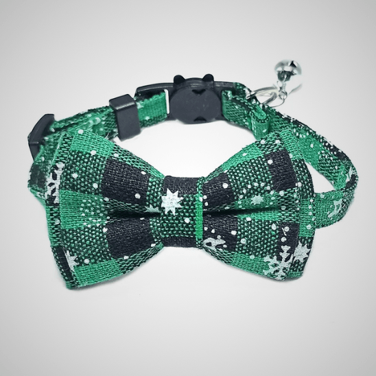 Collier Pour Chat | Loopy™ - Ambiance chat