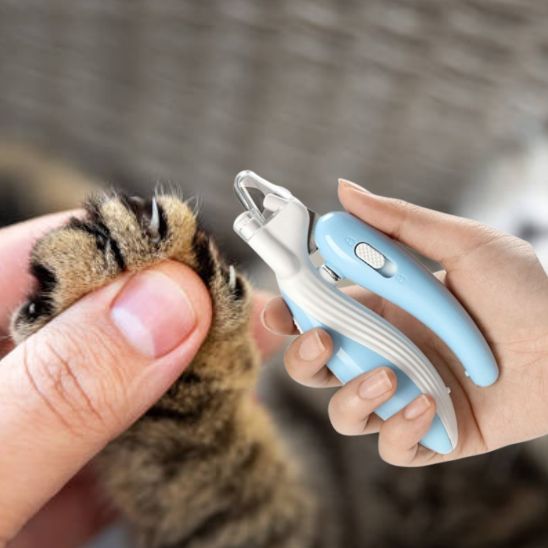 Coupe - ongle pour chat | Procut™ - Ambiance chat