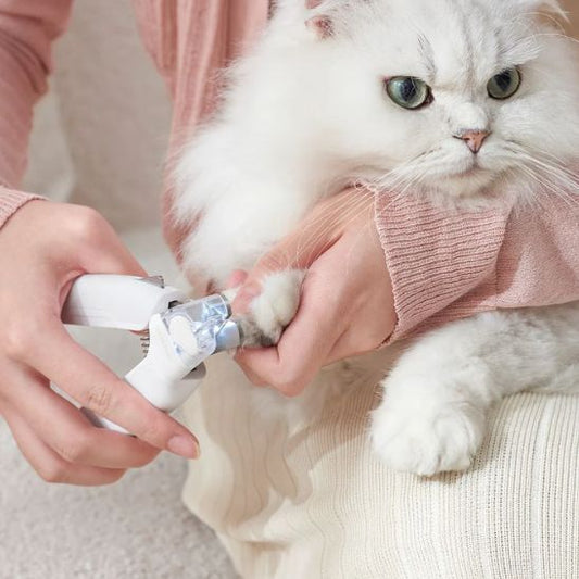 Coupe - ongle pour chat | Procutâą - Ambiance chat