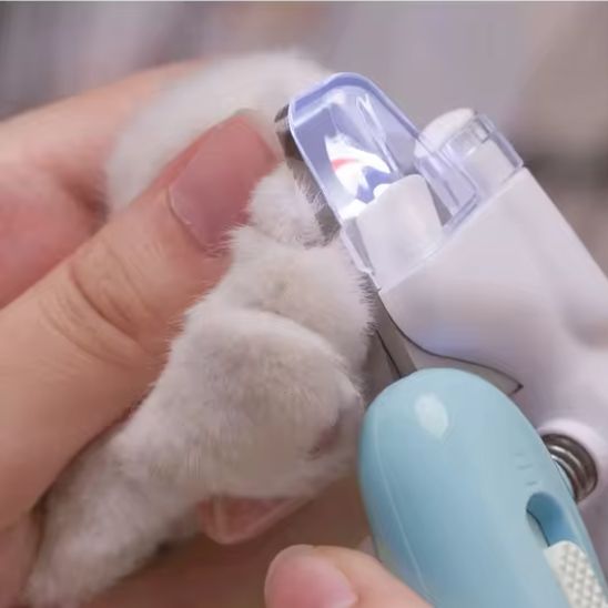 Coupe - ongle pour chat | Procut™ - Ambiance chat