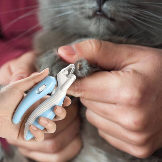 Coupe - ongle pour chat | Procut™ - Ambiance chat