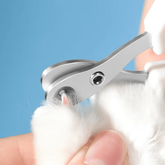 Coupe - ongle pour chat | Safecut™ - Ambiance chat