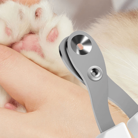Coupe - ongle pour chat | Safecut™ - Ambiance chat