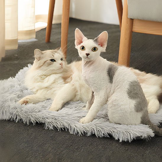 Coussin pour Chat | Bendy™ - Ambiance chat