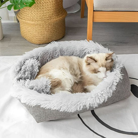 Coussin pour Chat | Bendyâą - Ambiance chat