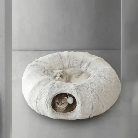 Coussin pour chat | Dodlyâą - Ambiance chat