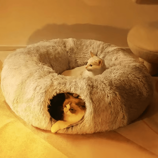 Coussin pour chat | Dodlyâą - Ambiance chat