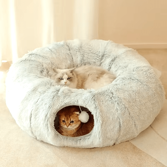 Coussin pour chat | Dodly™ - Ambiance chat