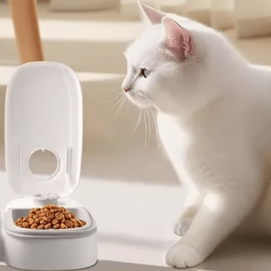 Distributeur de Croquettes pour Chat | Cloky™ - Ambiance chat