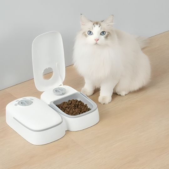 Distributeur de Croquettes pour Chat | Cloky™ - Ambiance chat