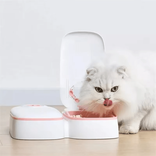 Distributeur de Croquettes pour Chat | Cloky™ - Ambiance chat