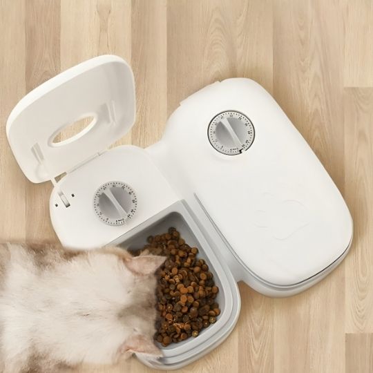 Distributeur de Croquettes pour Chat | Cloky™ - Ambiance chat