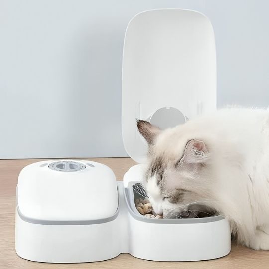 Distributeur de Croquettes pour Chat | Cloky™ - Ambiance chat