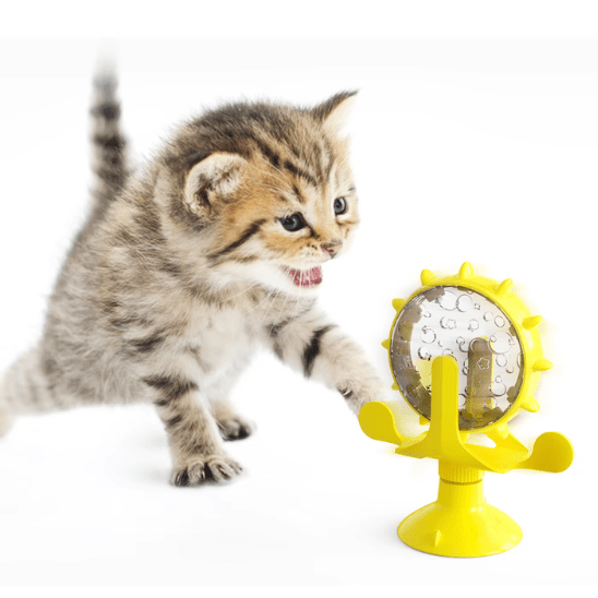 Distributeur de croquettes pour chat | FoodiWheel™ - Ambiance chat