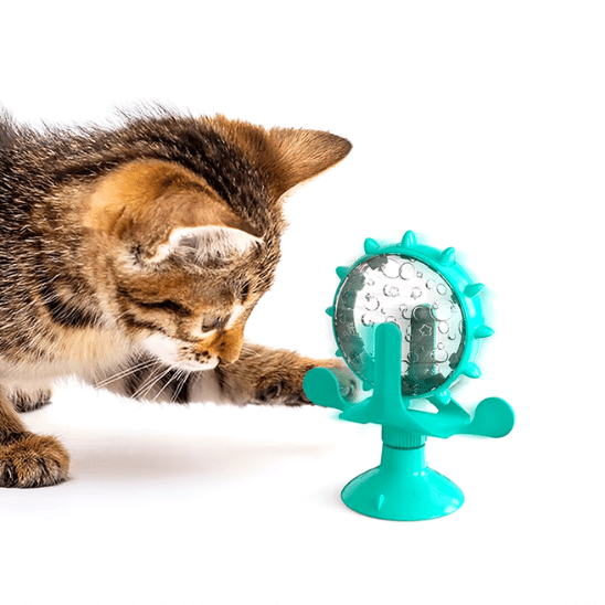 Distributeur de croquettes pour chat | FoodiWheel™ - Ambiance chat