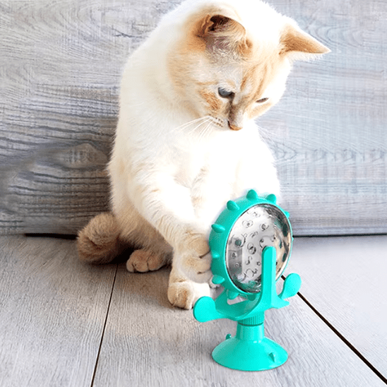 Distributeur de croquettes pour chat | FoodiWheel™ - Ambiance chat