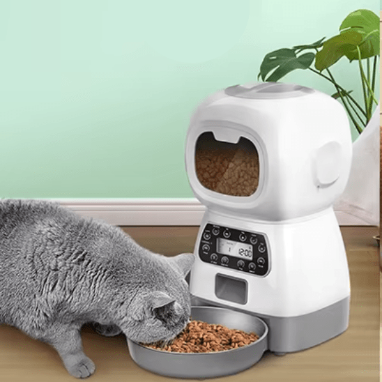Distributeur de Croquettes Pour Chat | Roby™ - Ambiance chat