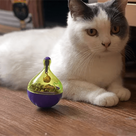 Distributeur de croquettes pour chat | Roullyâą - Ambiance chat