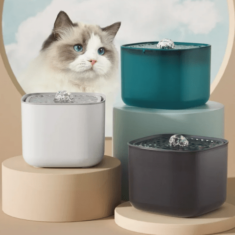 Fontaine a eau chat | Akouaâą - Ambiance chat