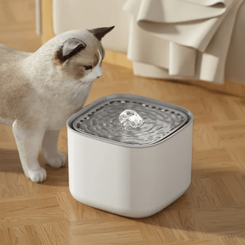 Fontaine a eau chat | Akouaâą - Ambiance chat