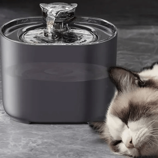 Fontaine a eau chat | Fally™ - Ambiance chat