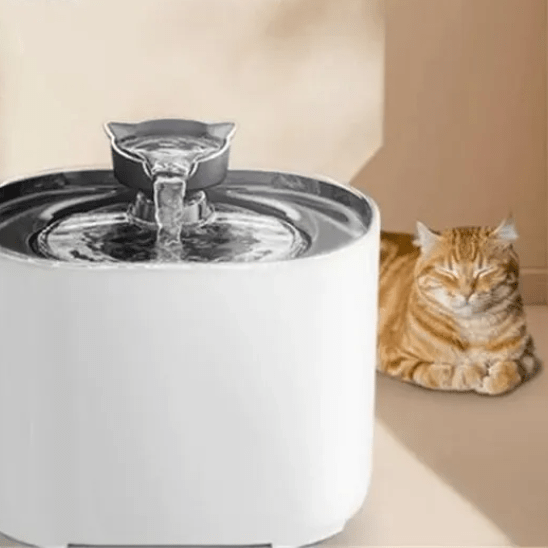 Fontaine a eau chat | Fally™ - Ambiance chat