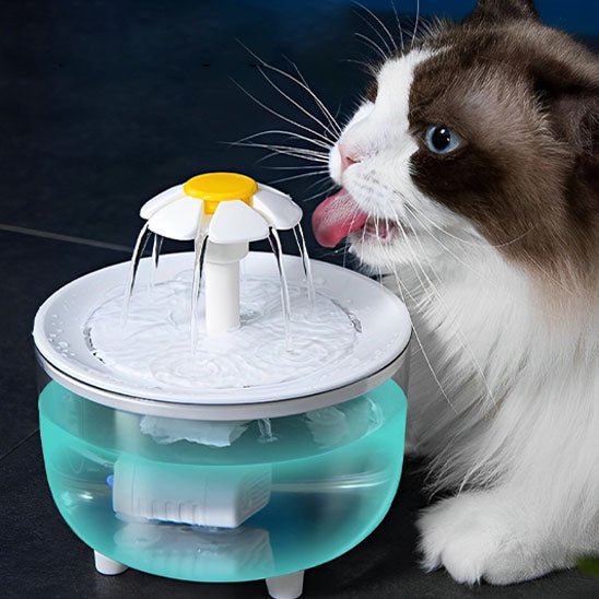 Fontaine a eau Chat | Flovy™ - Ambiance chat