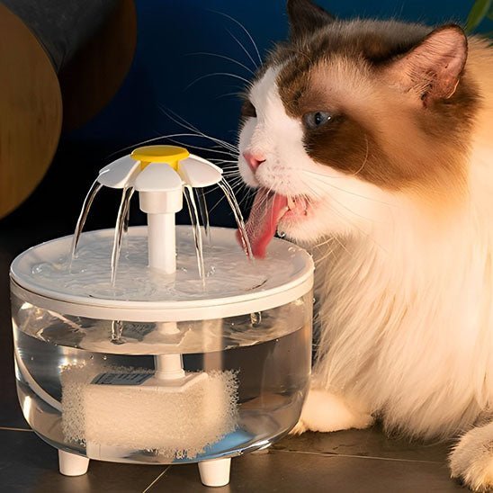 Fontaine a eau Chat | Flovy™ - Ambiance chat