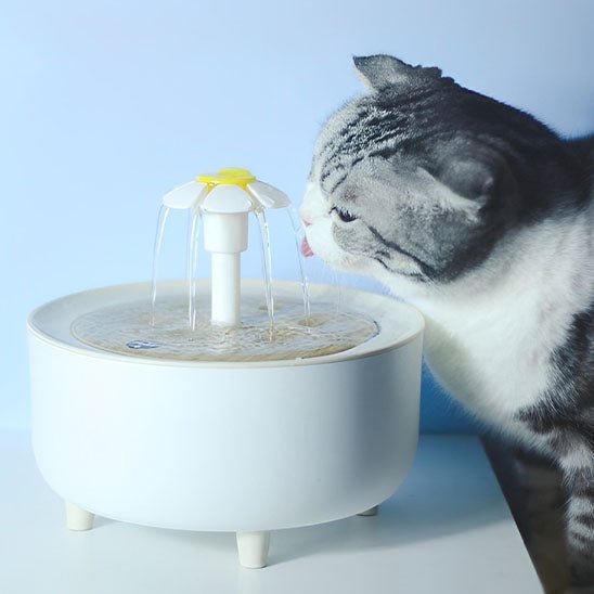 Fontaine a eau Chat | Flovy™ - Ambiance chat