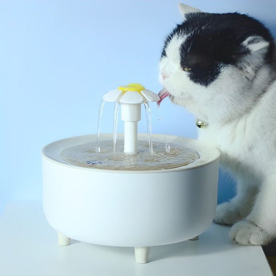 Fontaine a eau Chat | Flovy™ - Ambiance chat