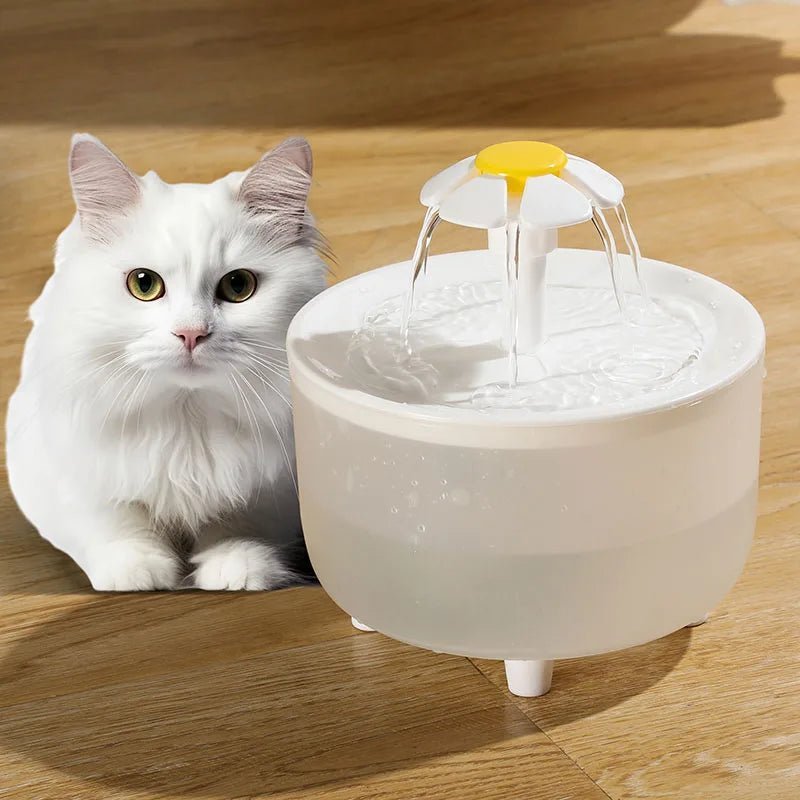 Fontaine a eau Chat | Flovy™ - Ambiance chat