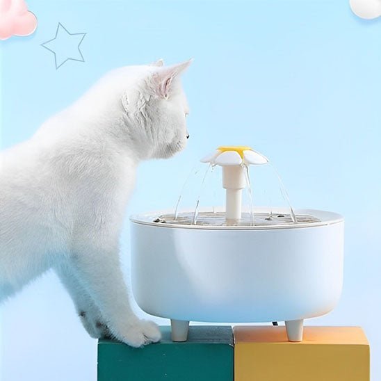Fontaine a eau Chat | Flovy™ - Ambiance chat
