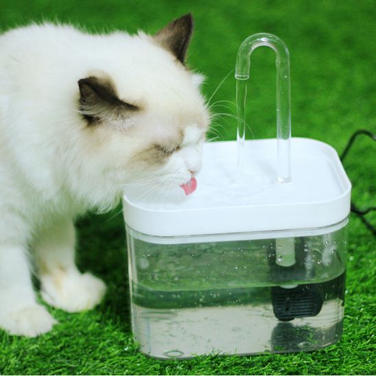 Fontaine a eau chat | Hiflo™ - Ambiance chat